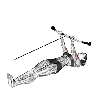 Best Cable Bicep Workouts Cable Lying Curl
