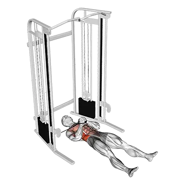 How To Get A Stronger Core Cable Lying Pallof Press
