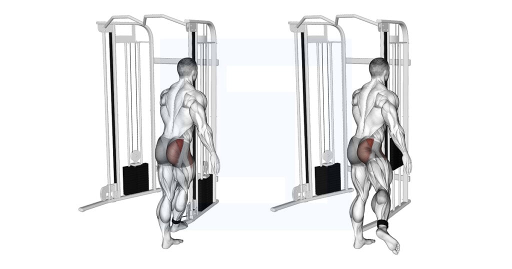 Cable Medius Kickback Guide, Benefits, and Form