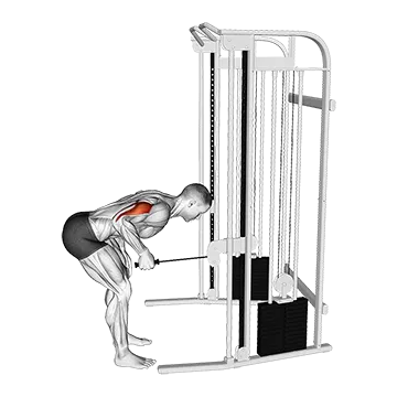 Cable Neutral Grip Kickback