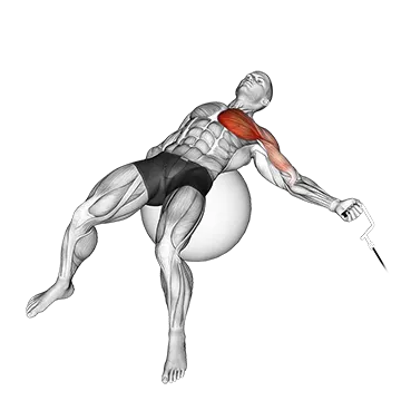 Cable One Arm Fly on Exercise Ball
