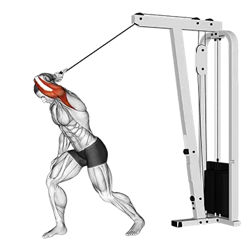 Cable One Arm High Pulley Overhead Tricep Extension