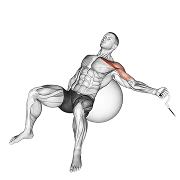 Cable One Arm Incline Fly on Exercise Ball