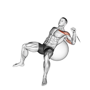 Cable One Arm Incline Press on Exercise Ball