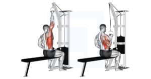 Cable One Arm Lat Pulldown - Guide, Benefits, and Form