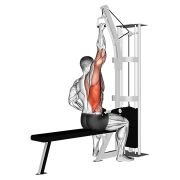Best Cable Lat Workouts Cable One Arm Lat Pulldown