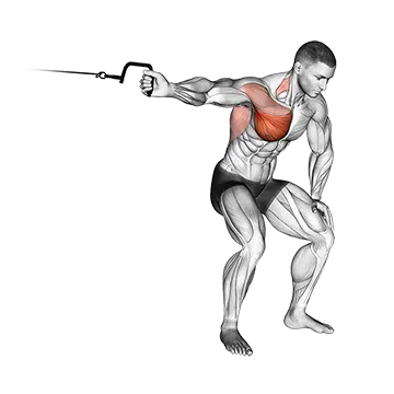 Best Cable Shoulder Workouts Cable One Arm Lateral Bent Over