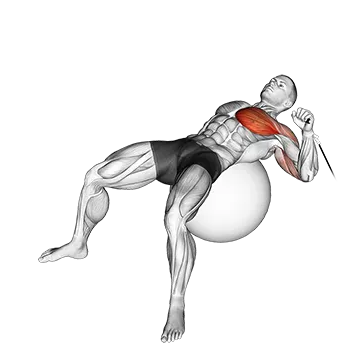 Cable One Arm Press on Exercise Ball