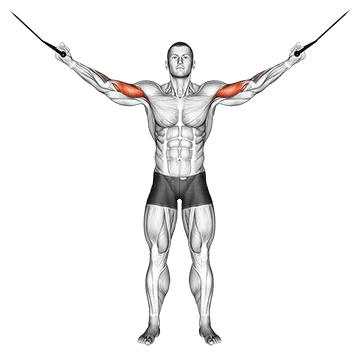 Best Long Head Bicep Exercises Cable Overhead Curl