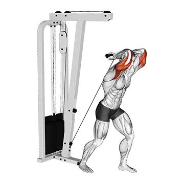 Cable Overhead Tricep Extension Straight Bar