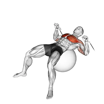 Cable Press on Exercise Ball