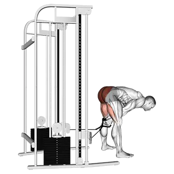 Best Cable Hamstring Workouts Cable Pull Through