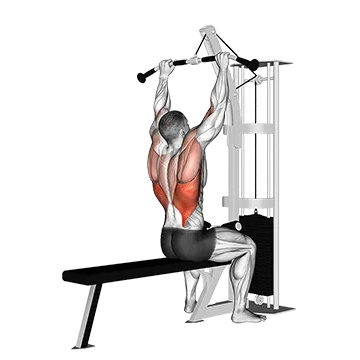 Best Push Pull Legs Routine Cable Pulldown