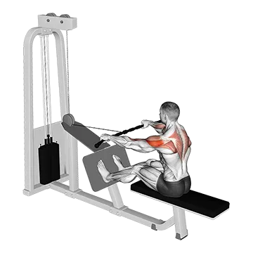 Best Cable Shoulder Workouts Cable Rear Delt Row