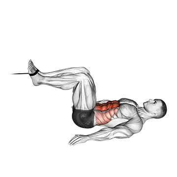Best Daily Ab Workouts Cable Reverse Crunch