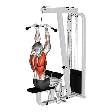 How To Grow Your Lats Cable Reverse Grip Pulldown