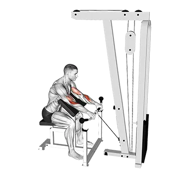 Best Cable Forearm Workouts Cable Reverse Preacher Curl