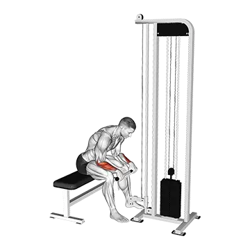 Best Cable Forearm Workouts Cable Reverse Wrist Curl