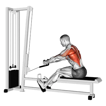 Cable Rope Elevated Seated Row