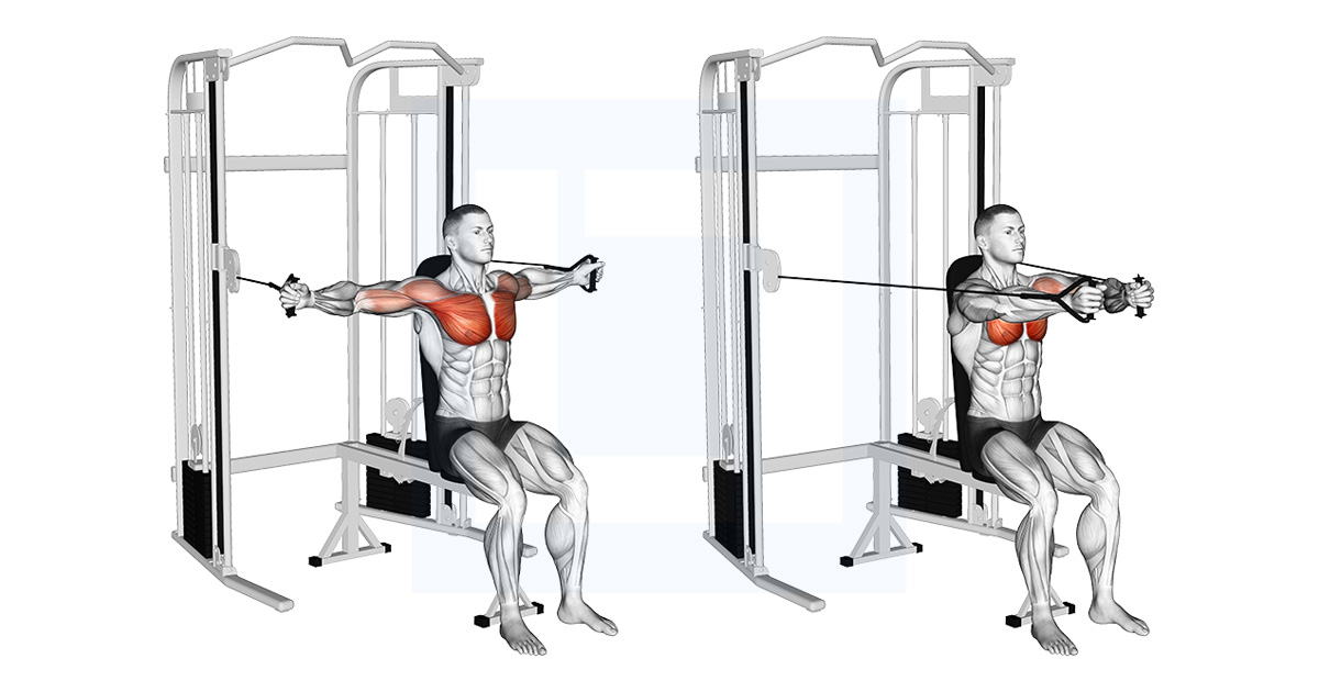 Cable Chest Fly
