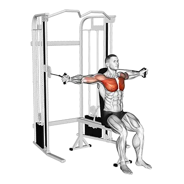How To Grow Your Chest Cable Seated Chest Fly