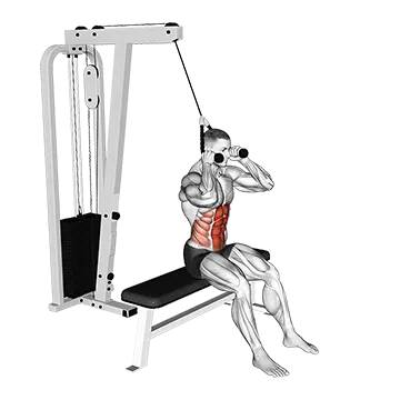 Best Cable Core Workouts Cable Seated Crunch