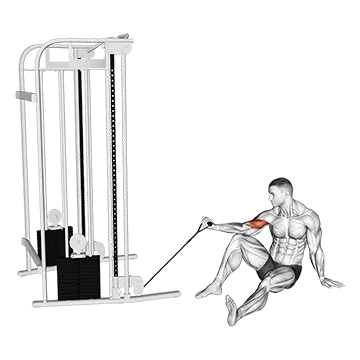 Cable Seated Floor One Arm Concentration Curl