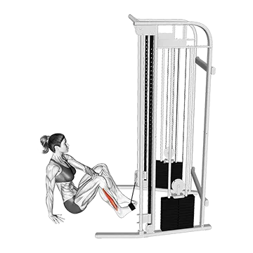 Cable Seated Foot Eversion
