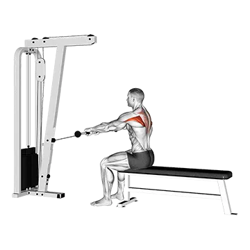 Cable Seated Horizontal Shrug