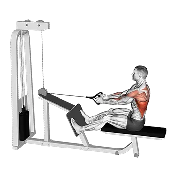 Cable Seated Lats Focused Row