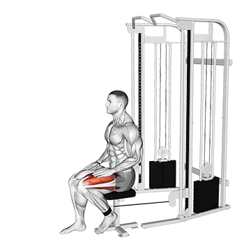 How To Build A Bigger Vmo Cable Seated Leg Extension
