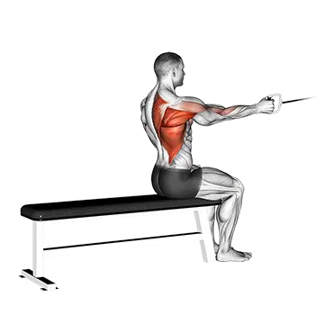 Cable Seated One Arm Alternate Row