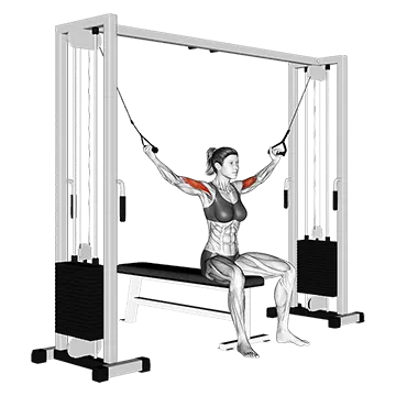 Cable Seated Overhead Curl