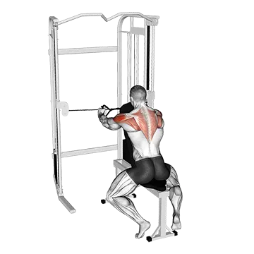 Best Rear Delt Exercises Cable Seated Rear Delt Fly With Chest Support