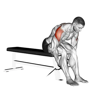Best Posterior Delt Exercises Cable Seated Rear Lateral Raise