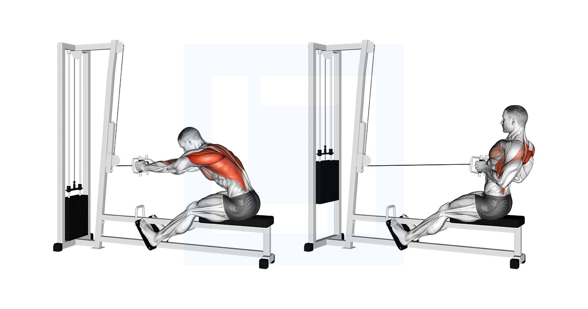 Cable Low Seated Row Guide Benefits And Form Cable Low Seated Row Guide Benefits And Form