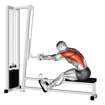 How To Grow Your Lats Cable Seated Row