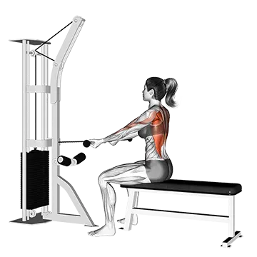 Cable Seated Supine Grip Row