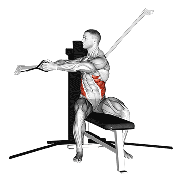 Best Cable Core Workouts Cable Seated Twist