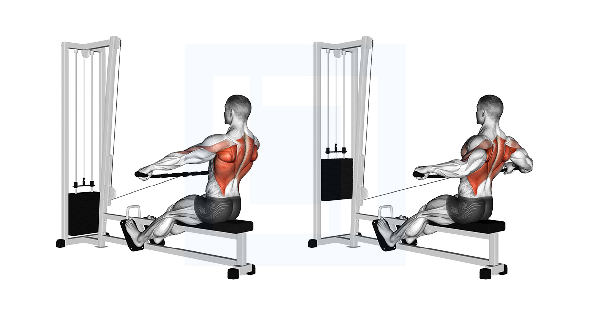 Cable Seated Row Guide Benefits And Form Cable Seated Row Guide Benefits And Form