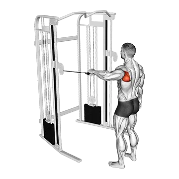Cable Shoulder 90 Degrees External Rotation