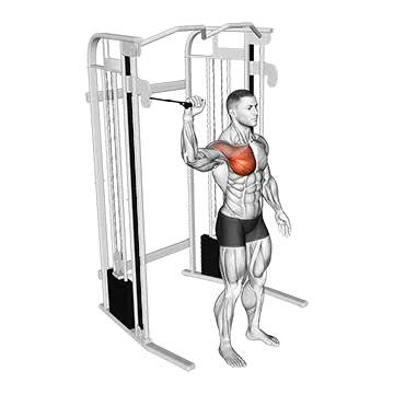 Cable Shoulder 90 Degrees Internal Rotation