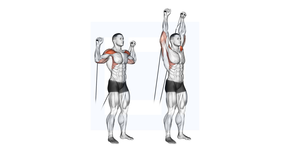 Dumbbell Alternate Shoulder Press One Arm At A Time Dumbbell Alternate Shoulder Press One Arm At A Time