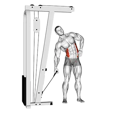 Best Obliques Exercises Cable Side Bend