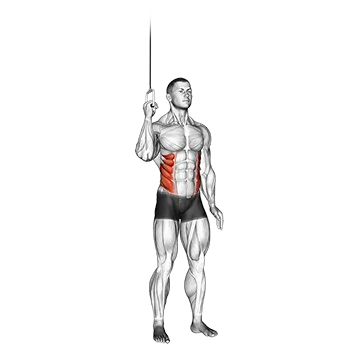 Best 15 Min Ab Workouts Cable Side Crunch