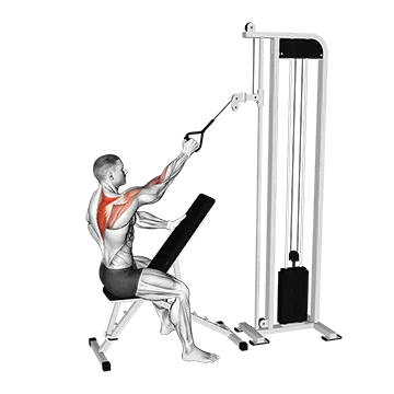 Cable Single Arm High Scapular Row