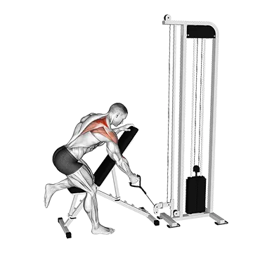 Cable Single Arm Low Scapular Row