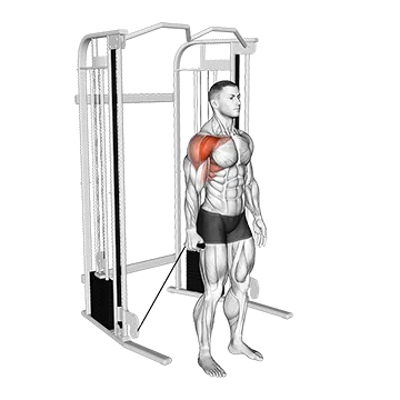 Cable Single Arm Neutral Grip Front Raise