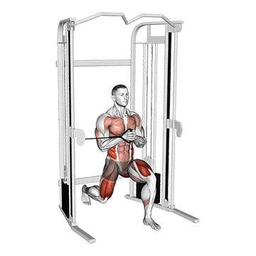 Cable Split Stance Horizontal Pallof Press