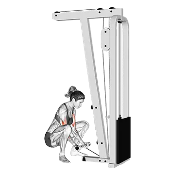 Best Cable Bicep Workouts Cable Squatting Curl